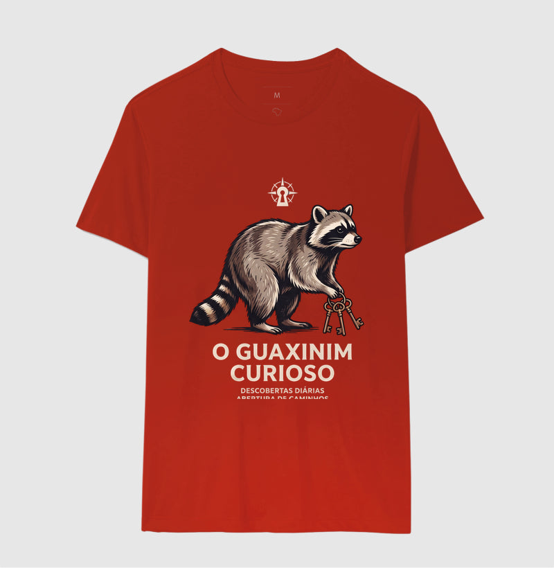 O Guaxinim Curioso - Haaland