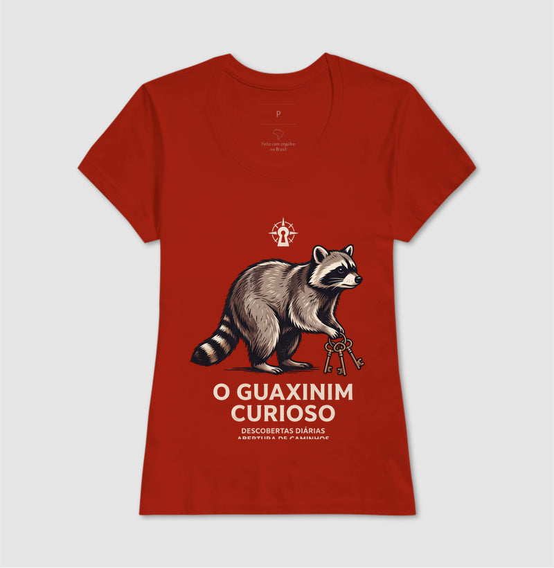 O Guaxinim Curioso - Haaland